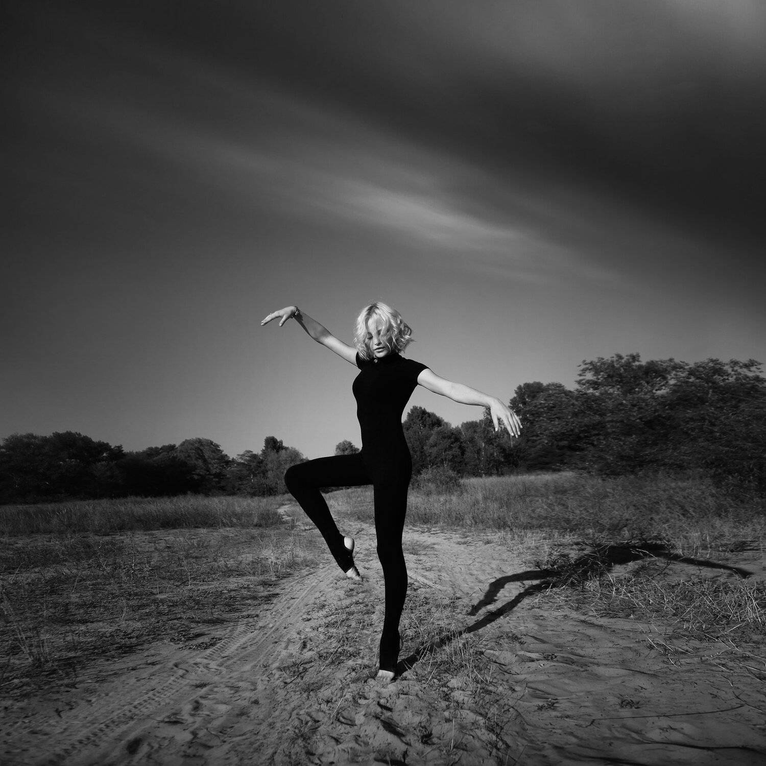 портрет, жанр, Ольга Сокол