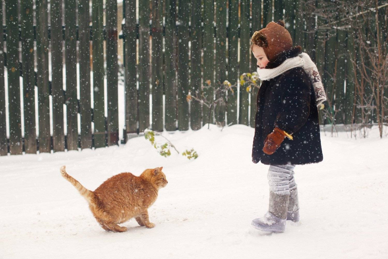 , Коровина Елена