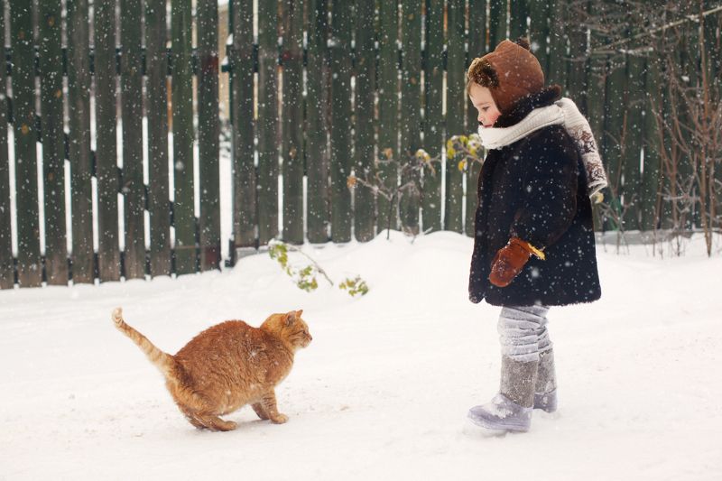 фото превью