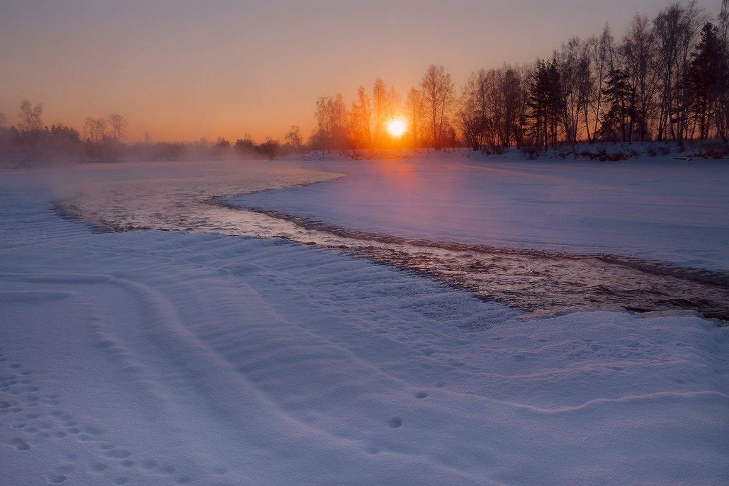 , Николай Морский