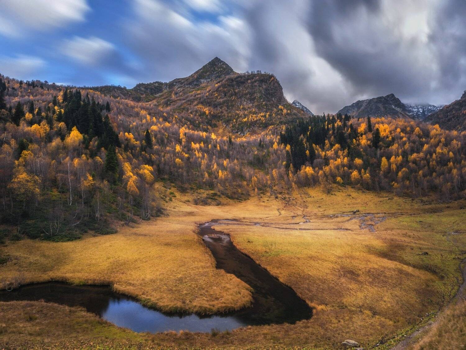 , Алексей Дранговский