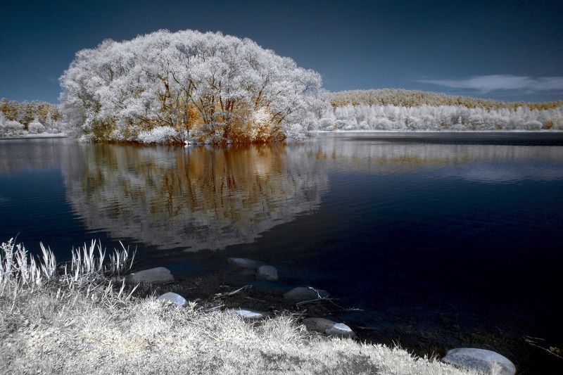 Созерцать отражения. Инфракрасная фотография. фото превью