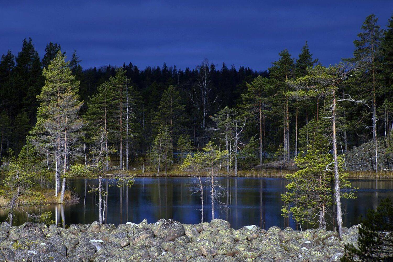 карелия, Виктор