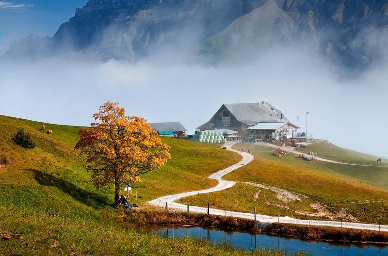 фото превью