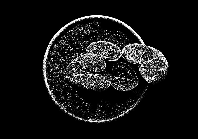 Графика фото превью