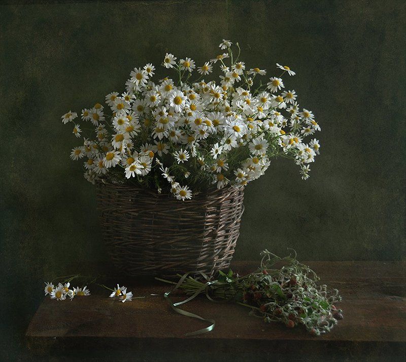 лето, лукошко, ромашки Лета полное лукошко... фото превью