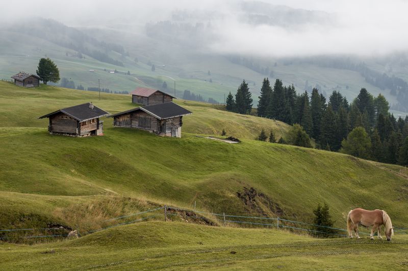 *** фото превью