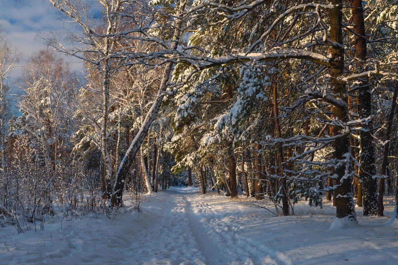 , Галанзовская Оксана