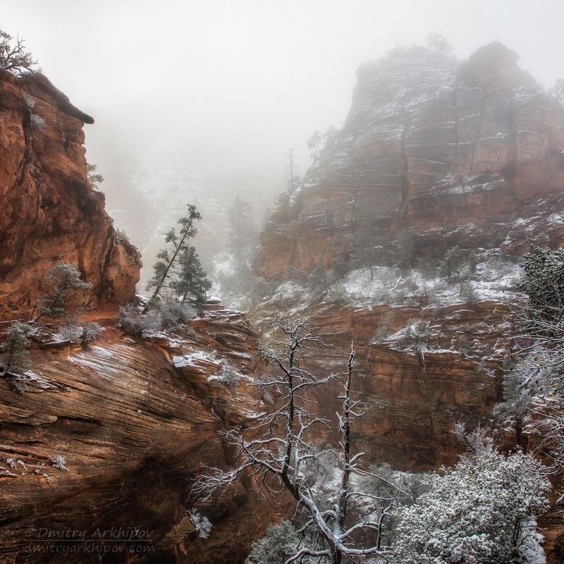 zion national park Непогода в горах фото превью