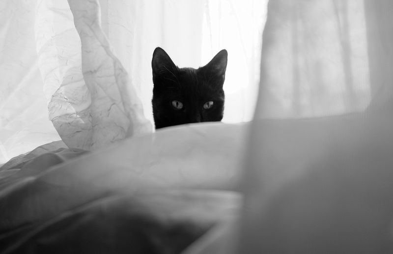 #Ozon  #cataclysm  #ninja  #escatology Ozon фото превью