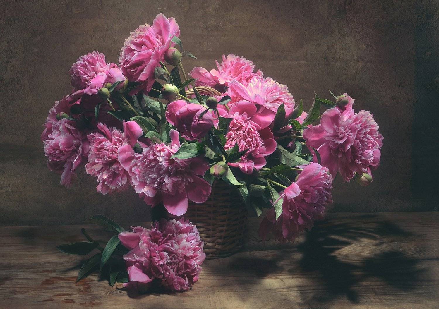 , Соловьёва Анастасия