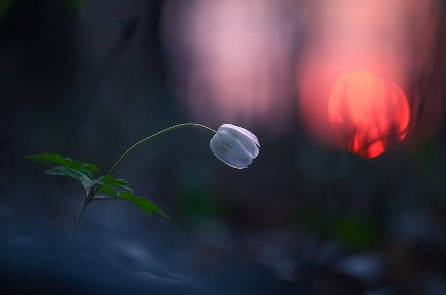 , Вячеслав Мищенко