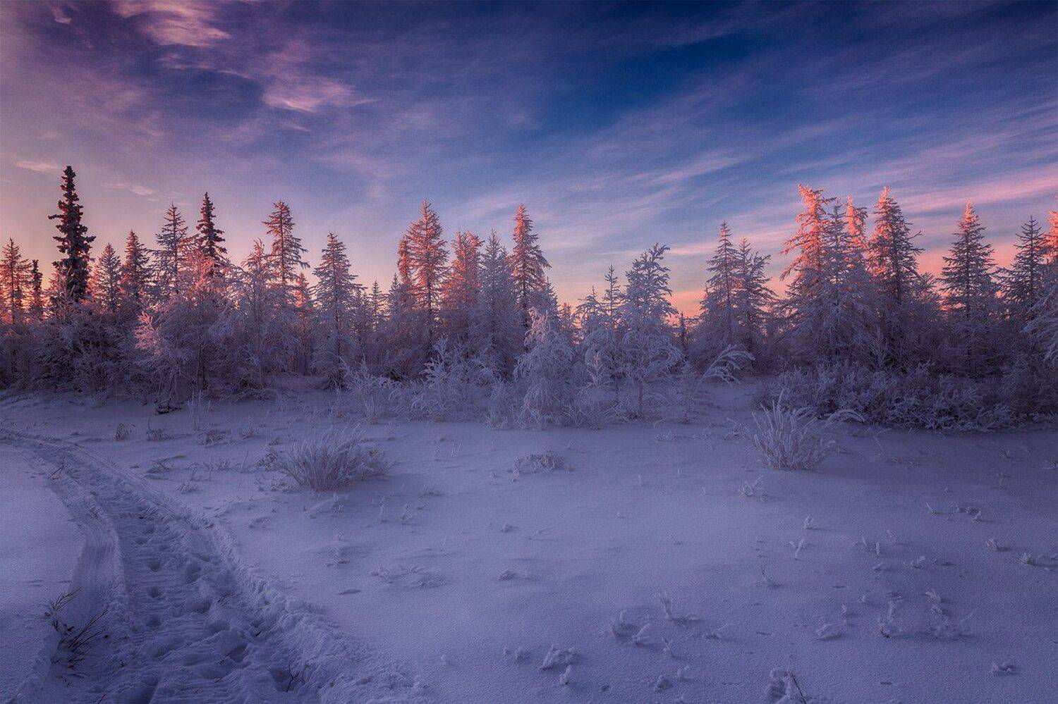 , Евгений Кужилев