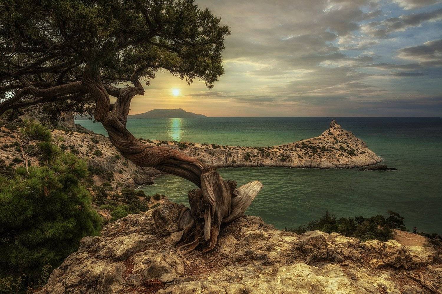 пейзаж,море,крым,рассвет,новый свет, Анатолий Зверев