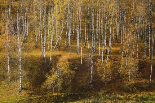 Осенний марафон