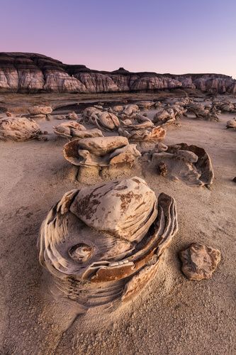 Bisti