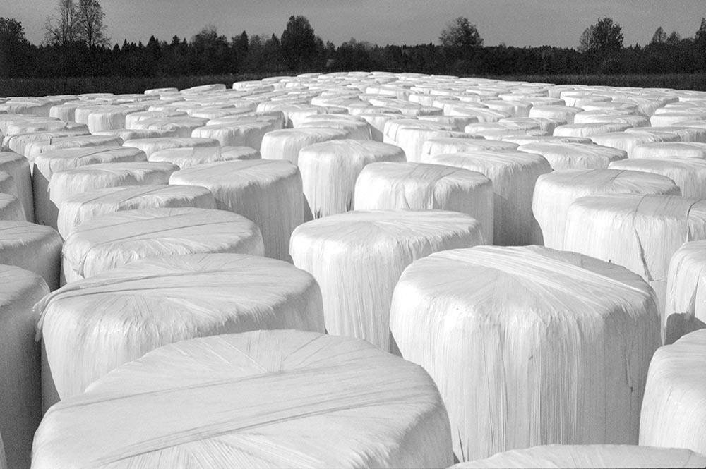 , Павел Мартюшев