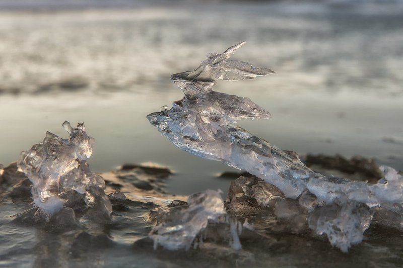 ГАЗ-21 фото превью