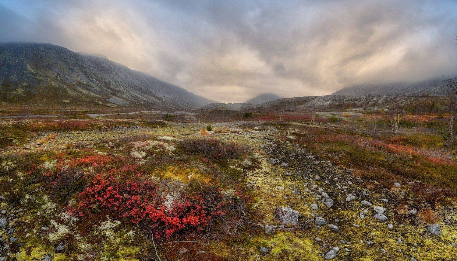 хибины, кировск, тундра, кольский, Сергей Кочергин