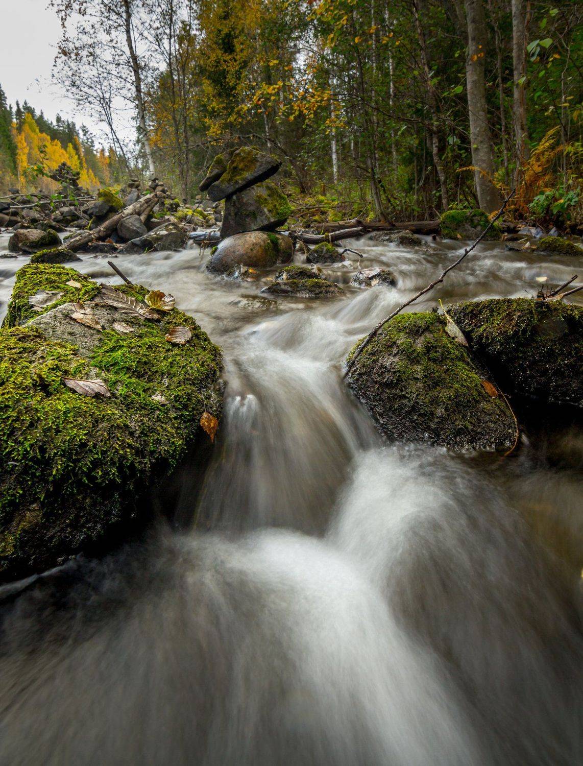 природа, карелия, осень, вода, рука, длинная выдержка, листья, Михаил Проскалов
