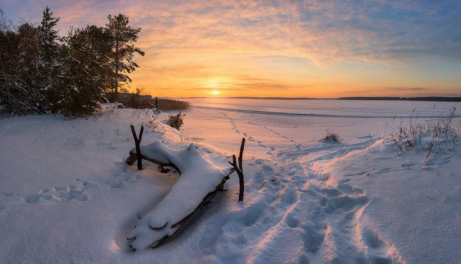 , Устюжанин Михаил