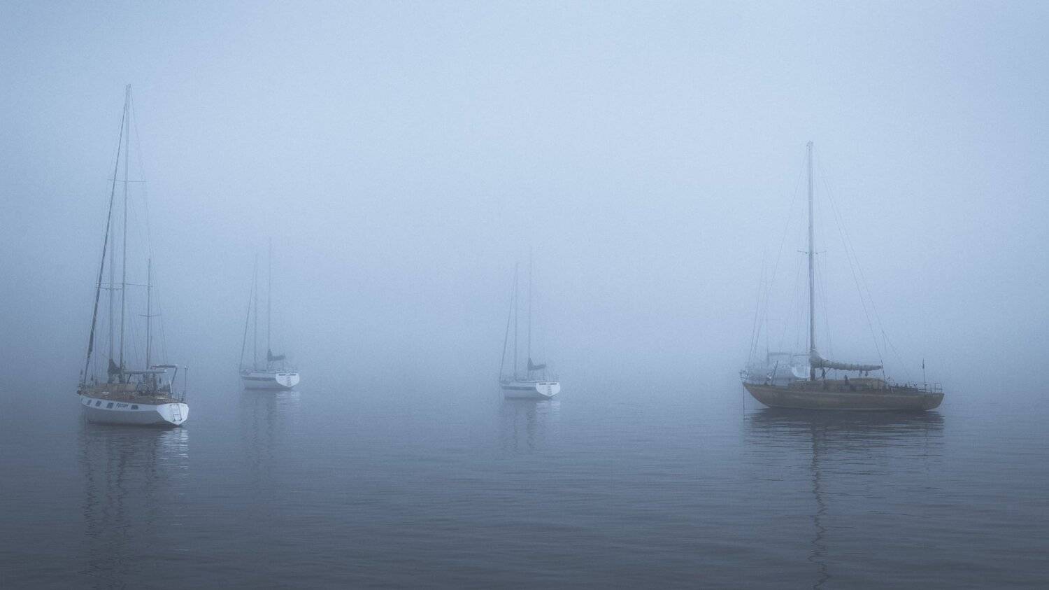 , Юрий Пужалин