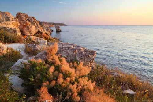 Берег Тарханкута