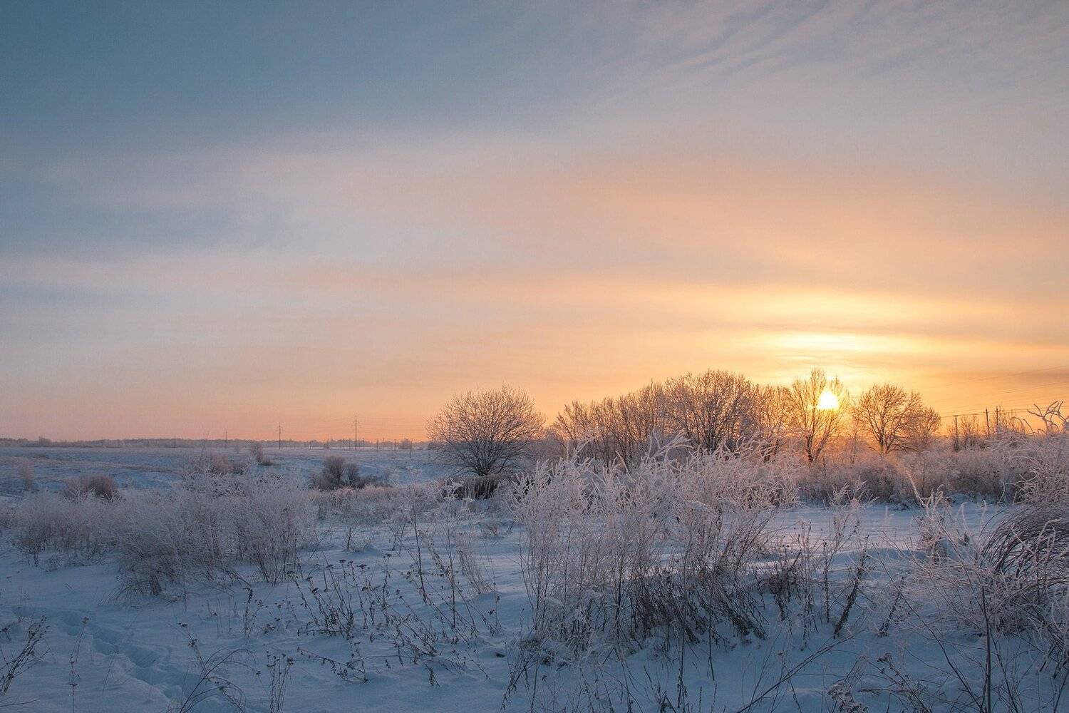восход, солнце, иней, снег, поле, Александр