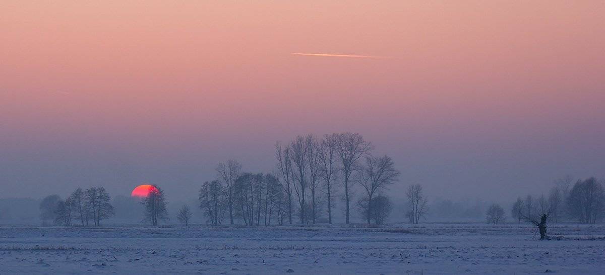 , Pawel Plucinski