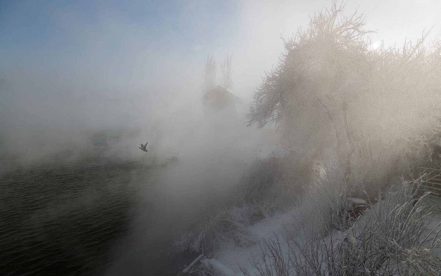 остров, солнечный., Алексей Рыльский