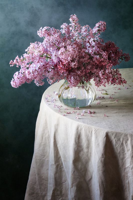 Цветочный, натюрморт, простой, букет, пурпурный, сирень, стеклянный, ваза, мятый драпировка, холодный, синий, дневной, свет, весна, домашний, интерьер Сирень фото превью