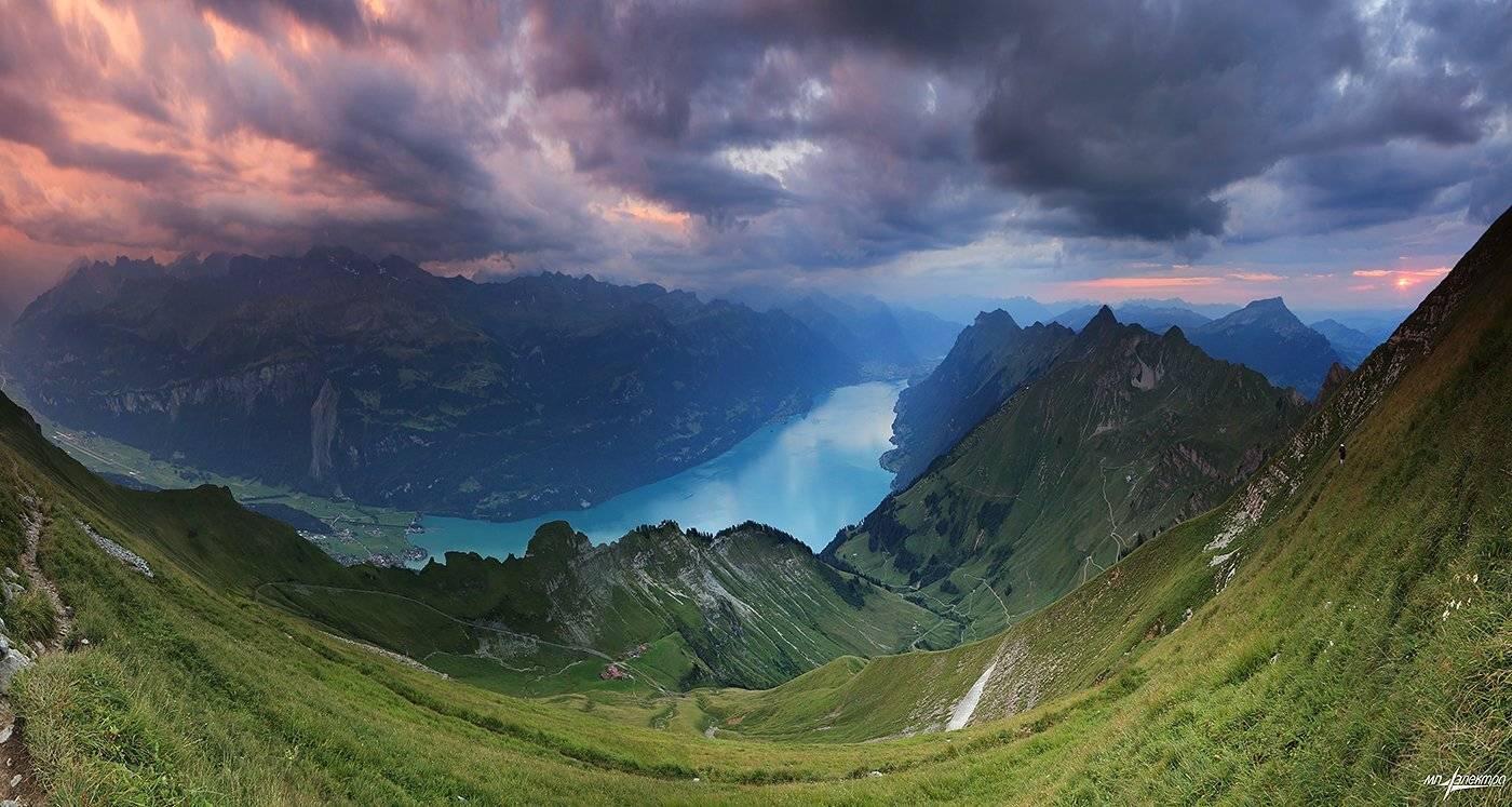 swiss, Матвеев Николай