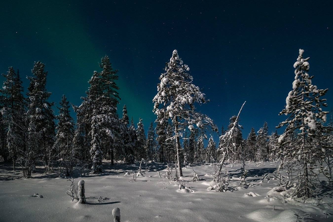 , Роман Горячий