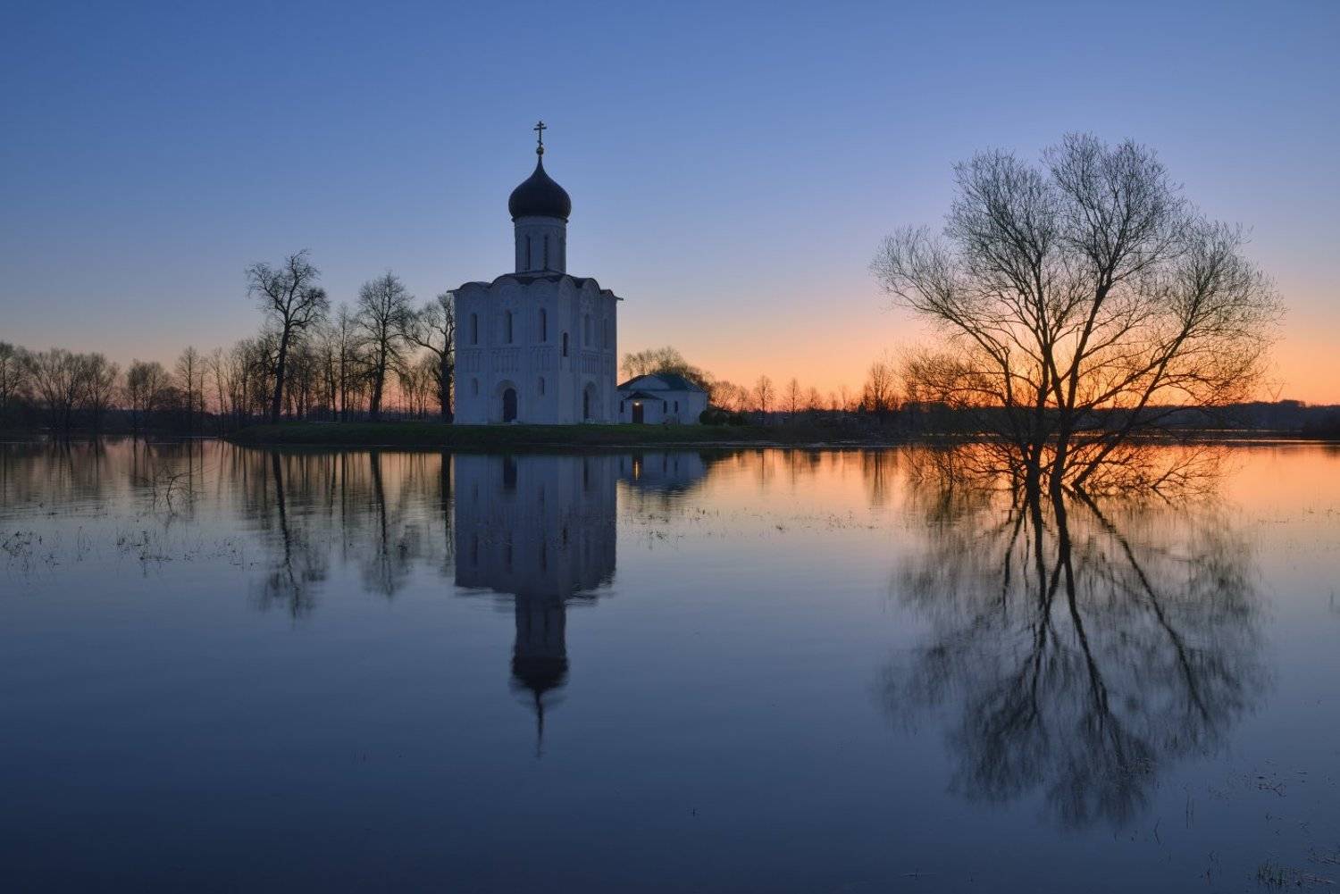 , Максим Евдокимов ( www.wildphotorus.ru )