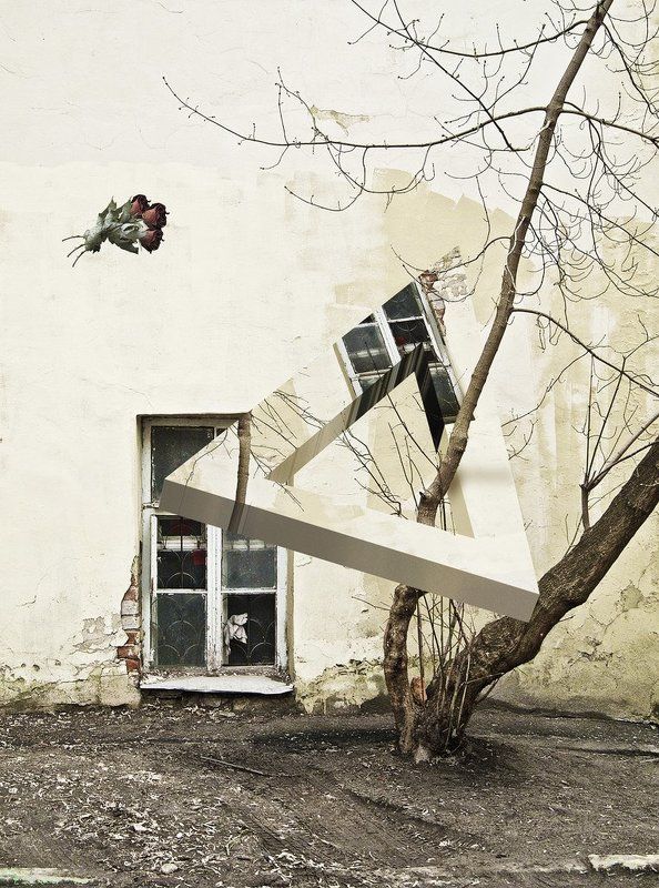 Семена мертвых фото превью