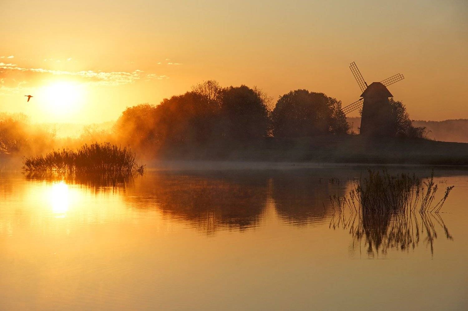 , Петр Косых