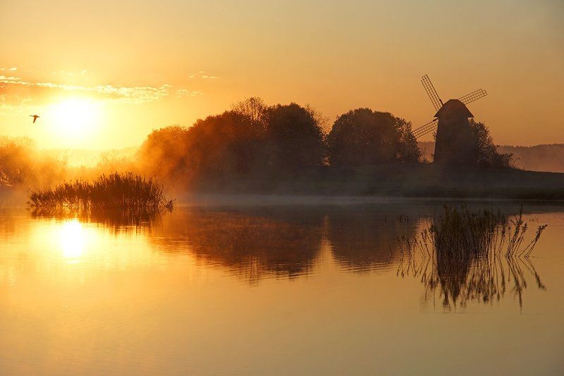 Золотой рассвет фото превью