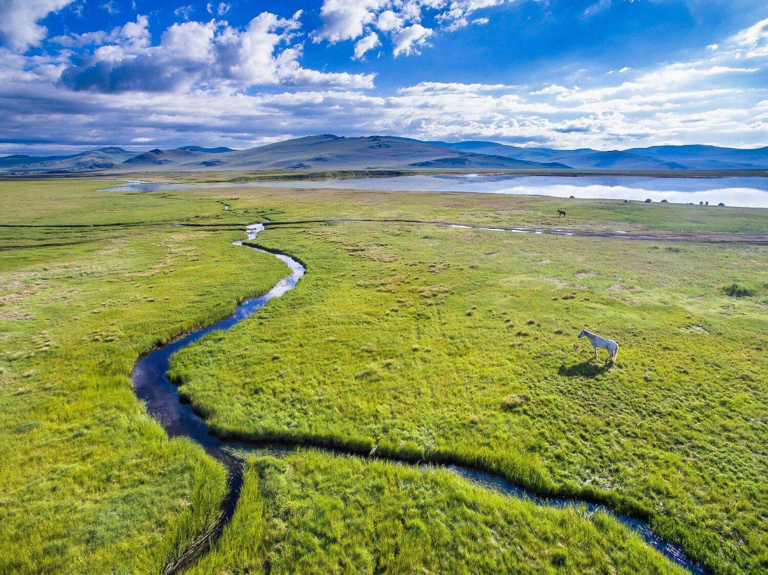 россия, алтай, республика, плато, укок, дрон, квадрокоптер, aerial, russia, ukok, plateau, drone, quadcopter, unesco, юнеско, Василий Яковлев