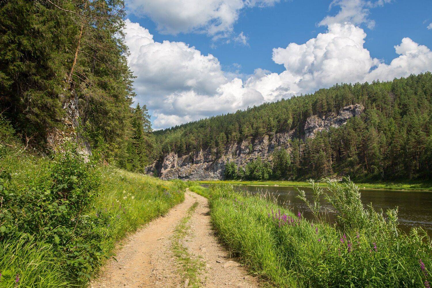 , Савицкий Ян