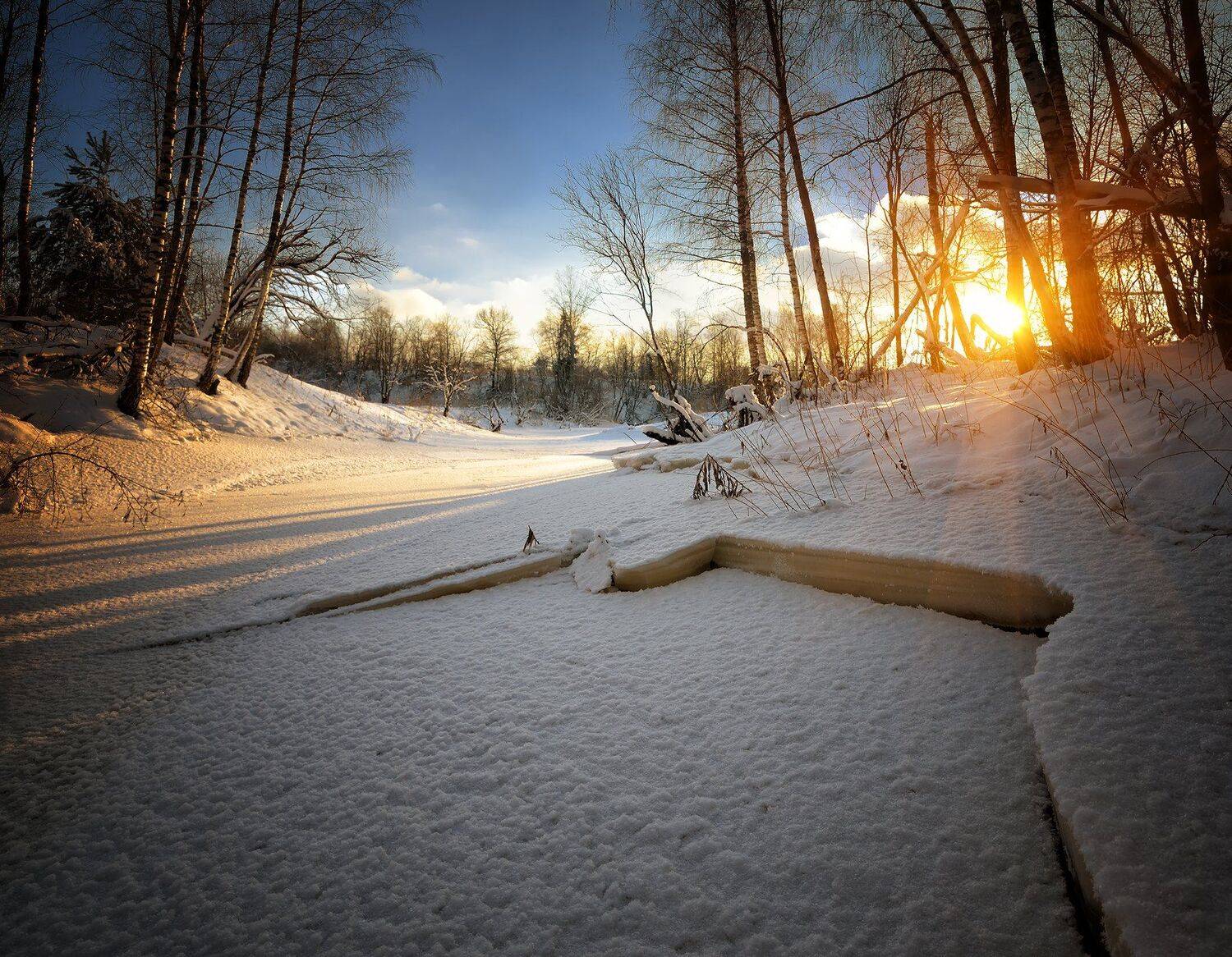 , Алексей Никонов