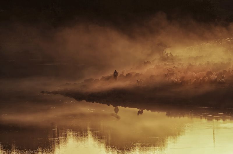 dicle batman,sürü,landscape,animal Dicle фото превью
