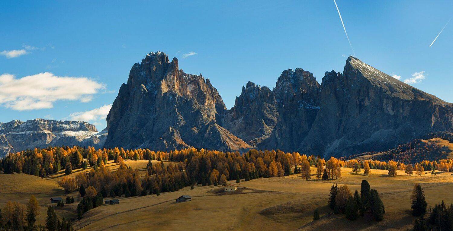 , Игорь Дубровский