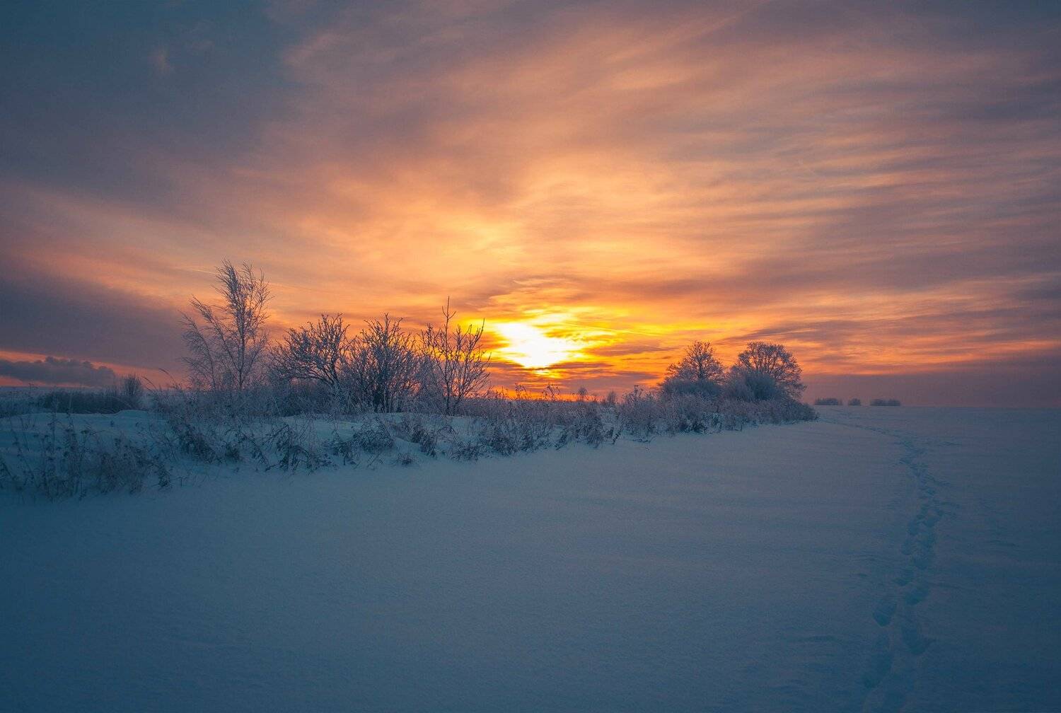 фото, природа, пейзаж, лес, зима, Екатерина