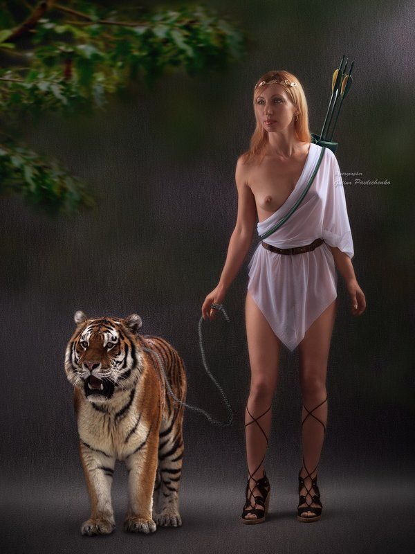 богиня, греческий, девушка, женщина, коллаж, ню, охота, охотница, стрелы, тигр, фотомонтаж, эротика Артемида-богиня охоты фото превью