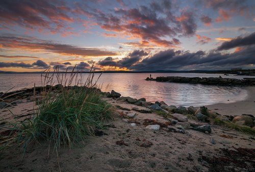 Летний вечер