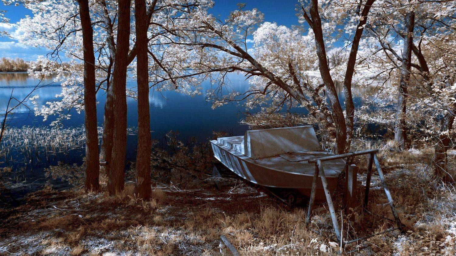 infrared,ик-фото,инфракрасное фото,инфракрасная фотография,пейзаж,природа,беларусь,весна, Sixten ( Сергей )