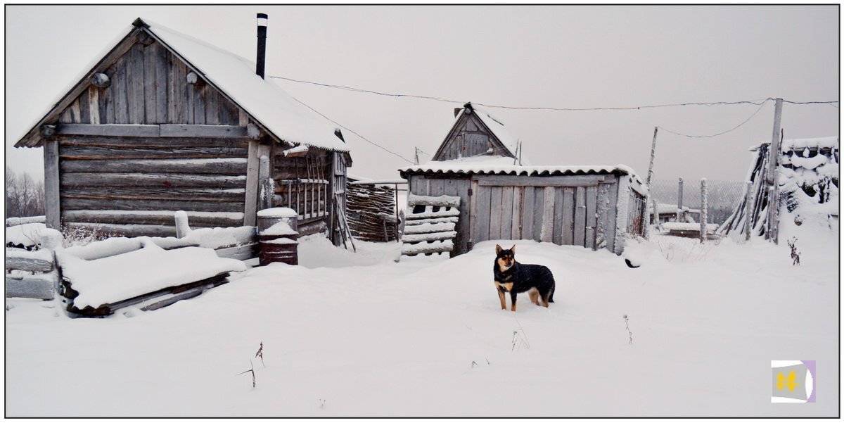 , Марина Никулина