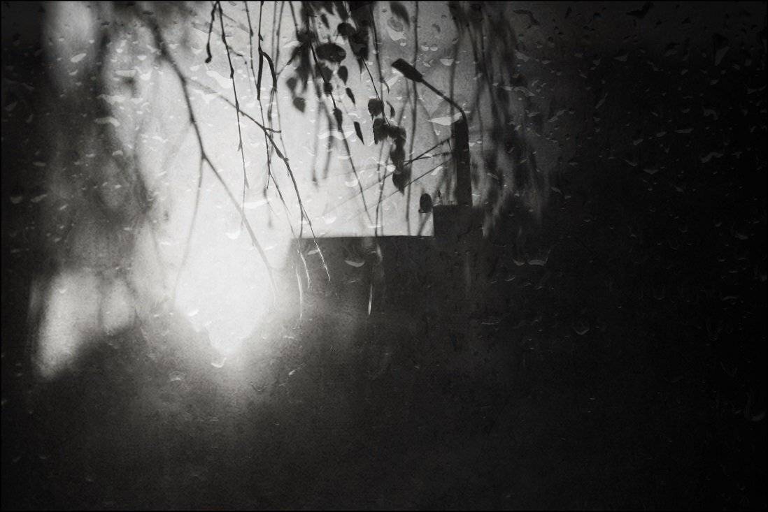 , Krzysztof Trojanowski