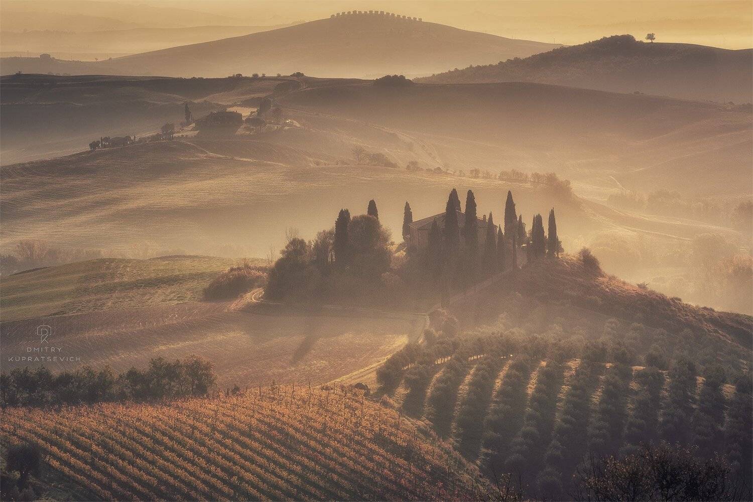 , Дмитрий Купрацевич