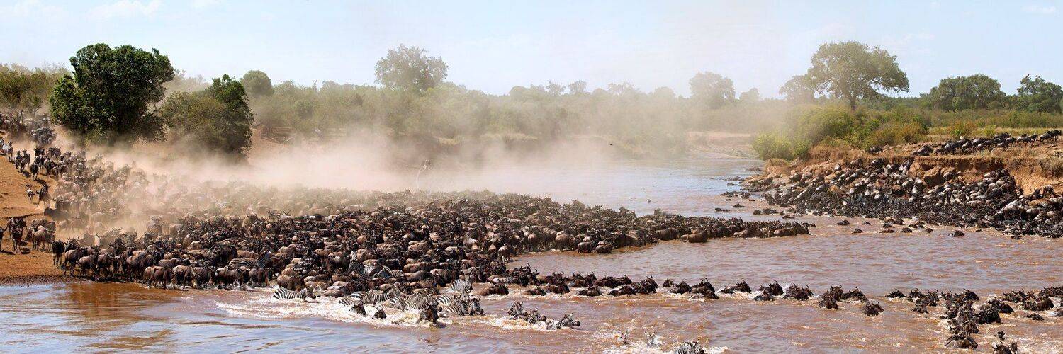 Большая миграция, Кения, Алексей Сулоев